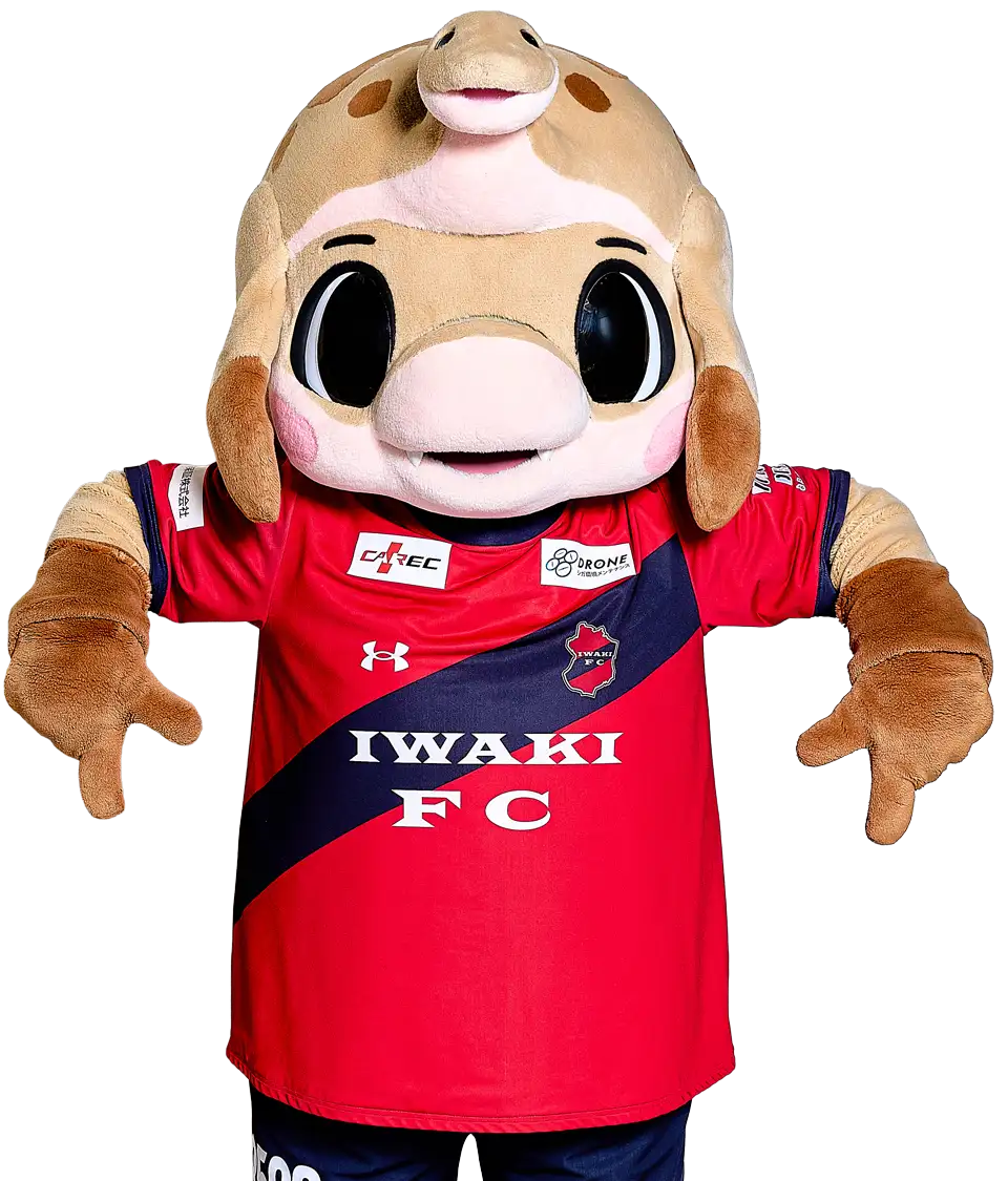 ハーマー&ドリー