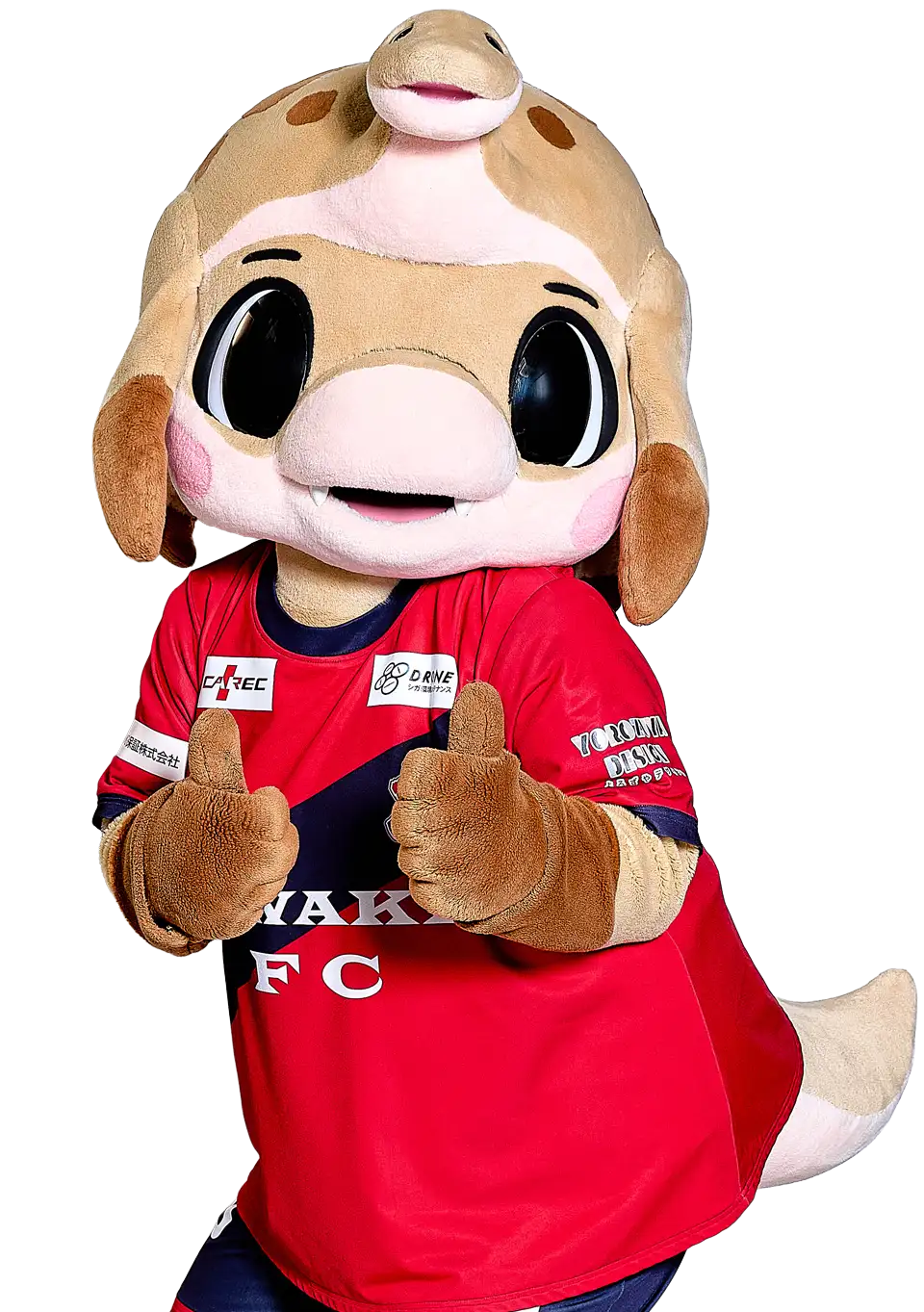 ハーマー&ドリー