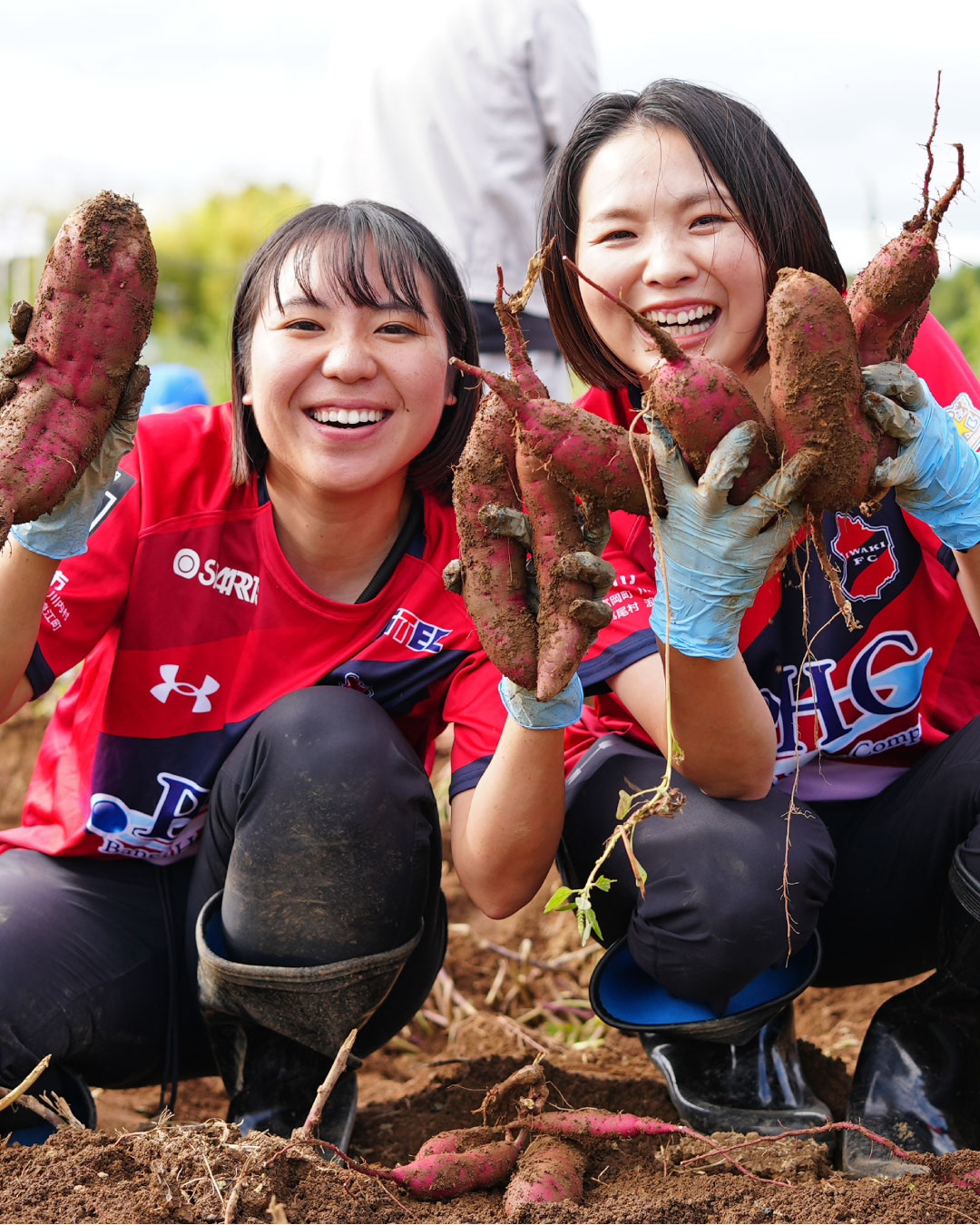 ふくしま復興 「楢葉町・マルトさつまいもプロジェクト」 収穫祭に参加