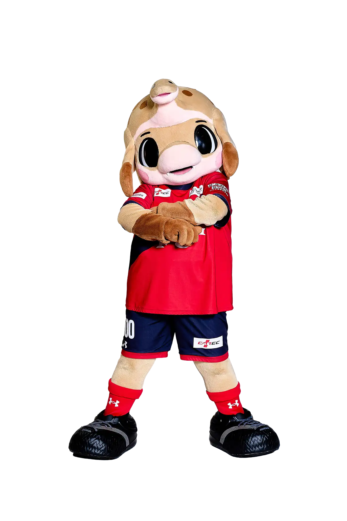 ハーマー＆ドリー