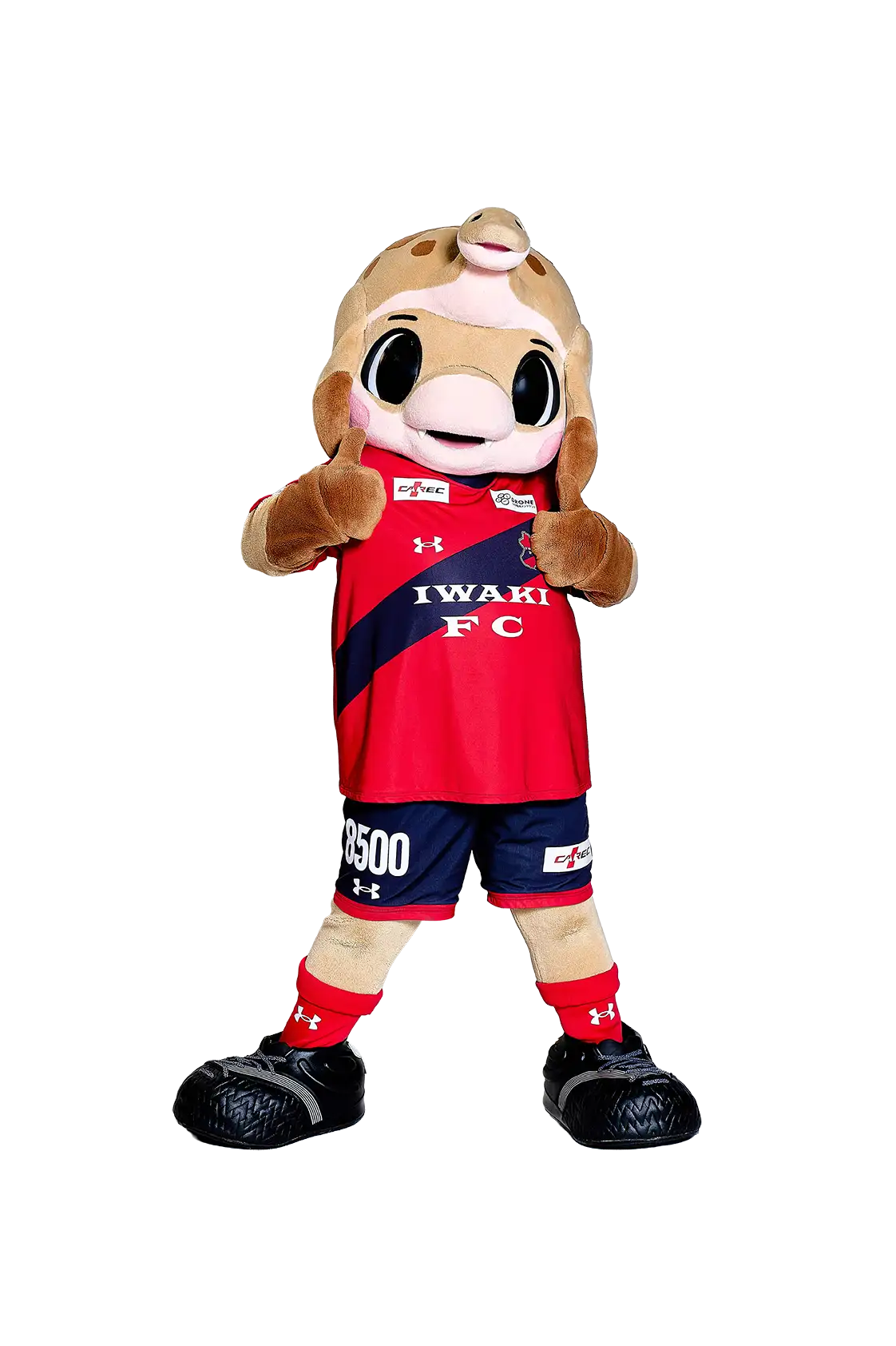 ハーマー＆ドリー
