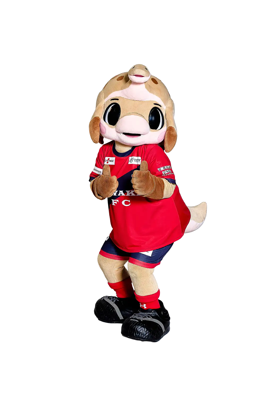 ハーマー＆ドリー