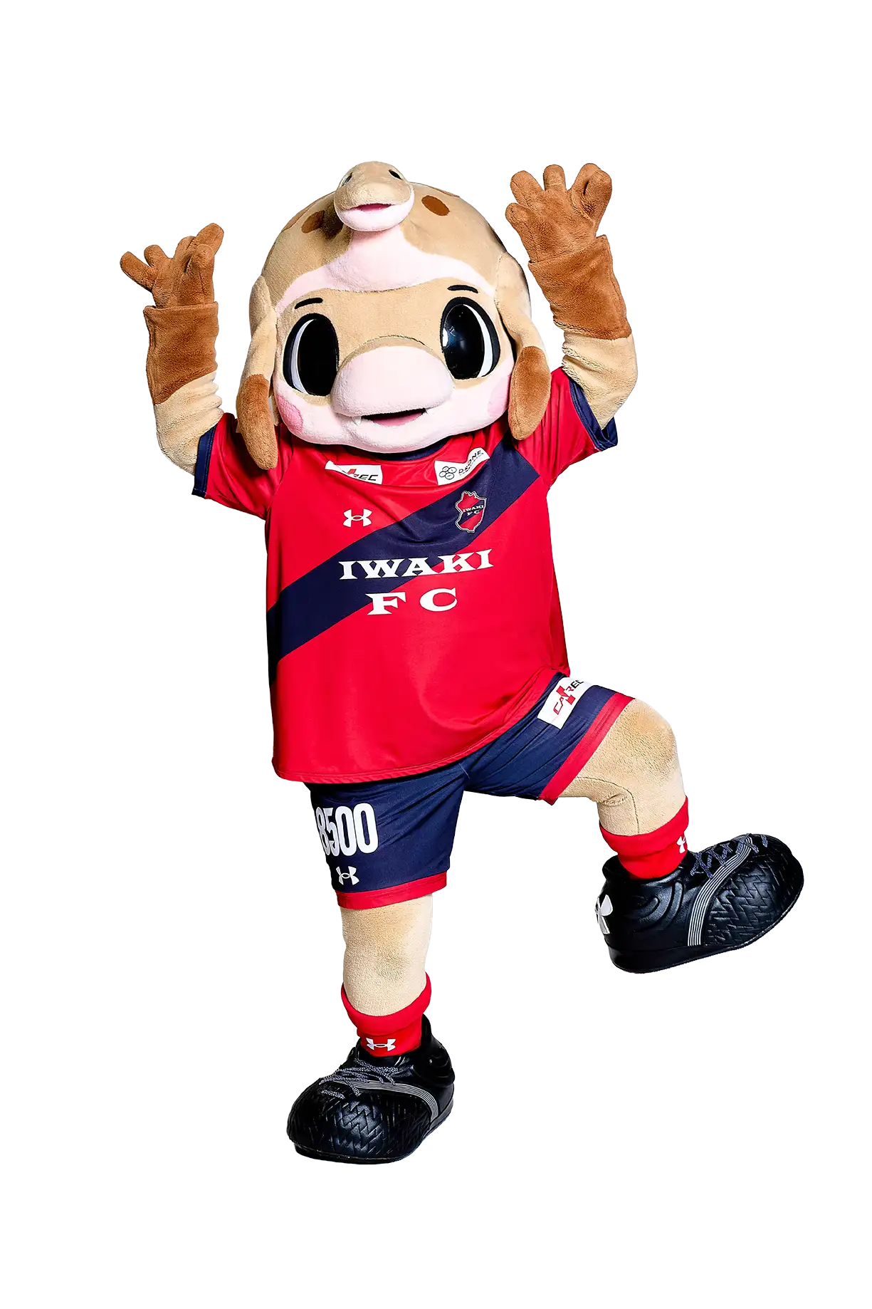 ハーマー＆ドリー