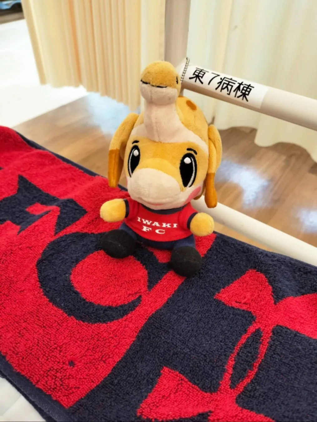 10周年記念企画 「いわきFCとわたし」
