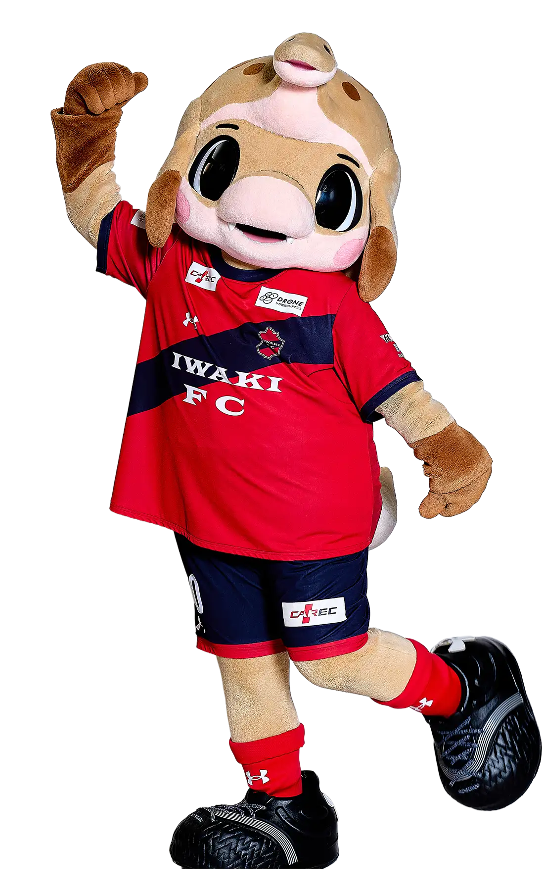 ハーマー&ドリー