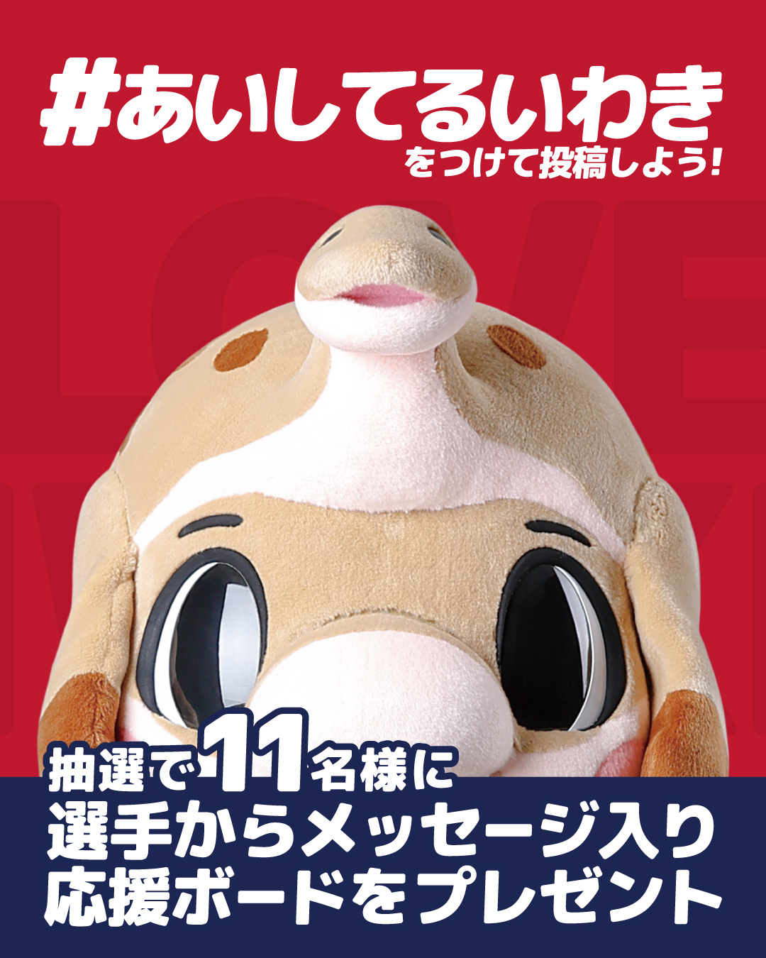 応援メッセージをスタジアムで掲げよう！「＃あいしてるいわき」企画実施のお知らせ
